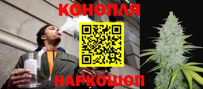 ALPHA PVP Пугачёв