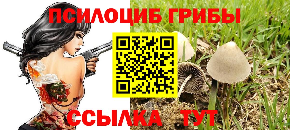 Галлюциногенные грибы Magic Shrooms Заринск