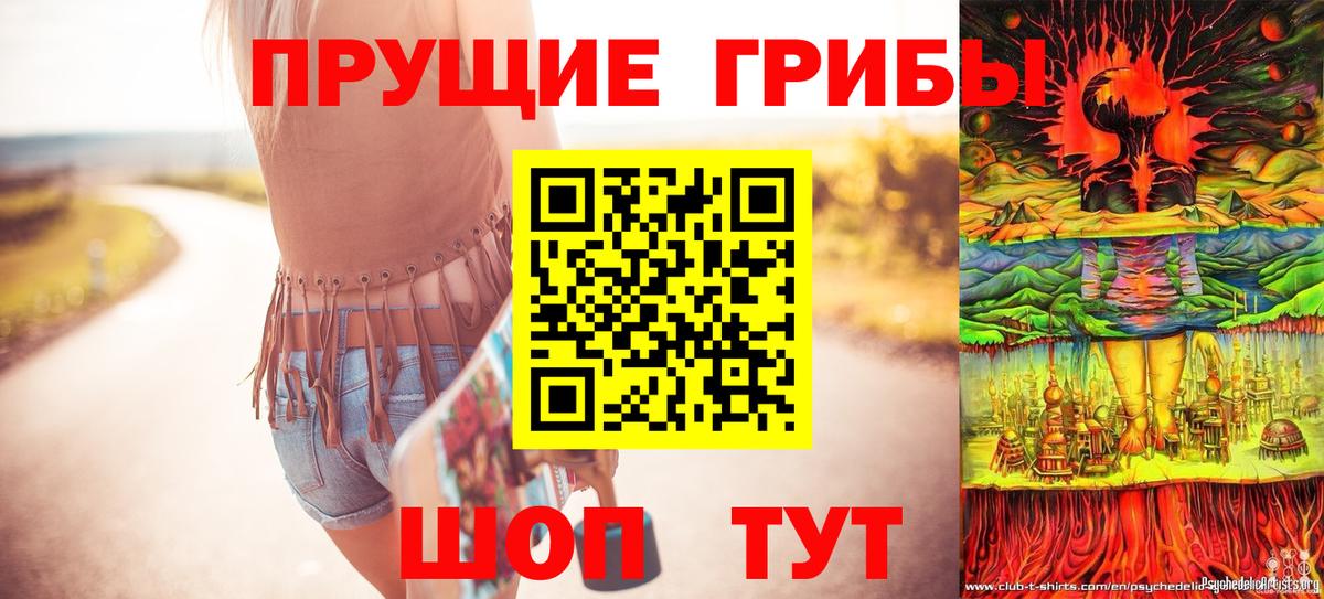 Меф Заринск