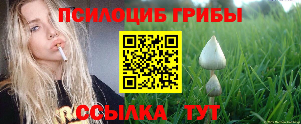 Галлюциногенные грибы Psilocybine cubensis  Вход с VPN  Заринск  Галлюциногенные грибы прущие грибы 